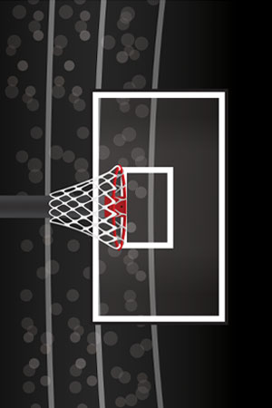 Basket Ball Hoop Stadium Thumb